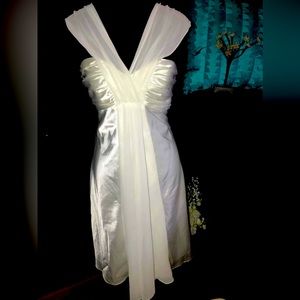 Beautiful Silk Mid Thigh Le Chateau dress with a shear strapping NWOT